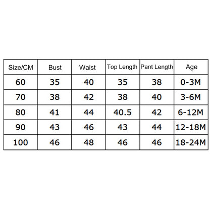 Baby Girl Romper & Pants Outfit 0-24M