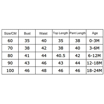 Baby Girl Romper & Pants Outfit 0-24M